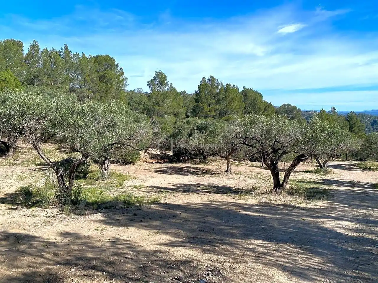 Terrain rustique à vendre à La Baixada, imagen 26