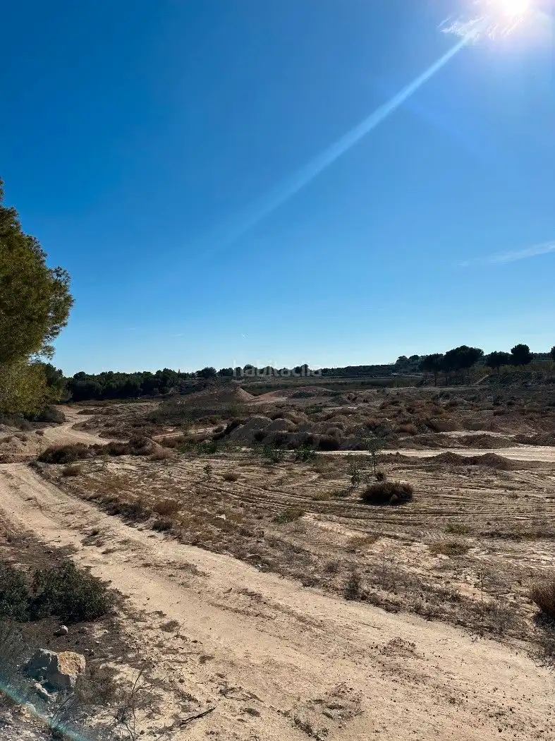 Terrain rustique à vendre à Camino de Catral 31, imagen 9