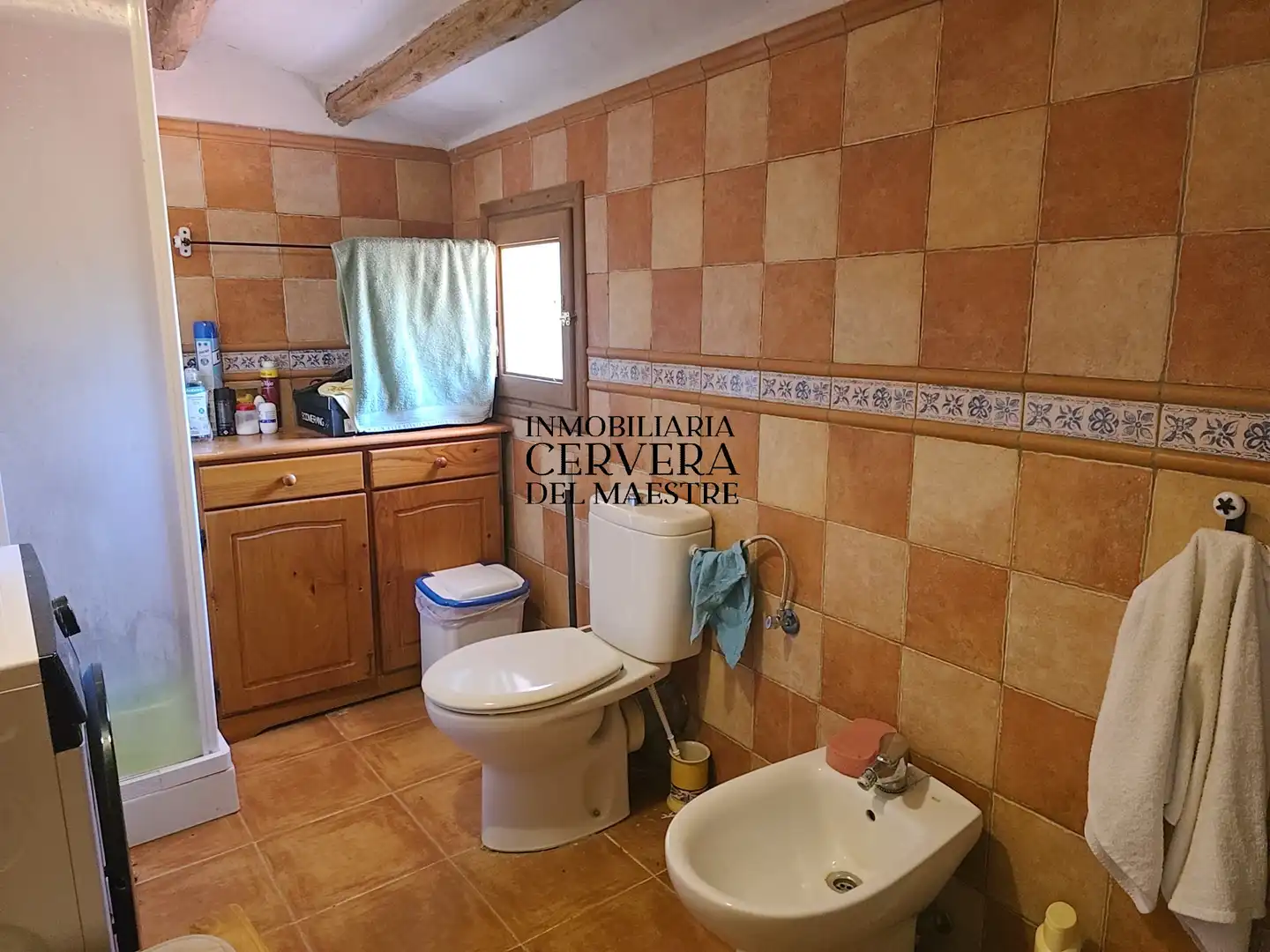 Garden of Houses for sale in La Torre d'en Besora