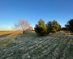 Industrial land for sale in Navalcarnero