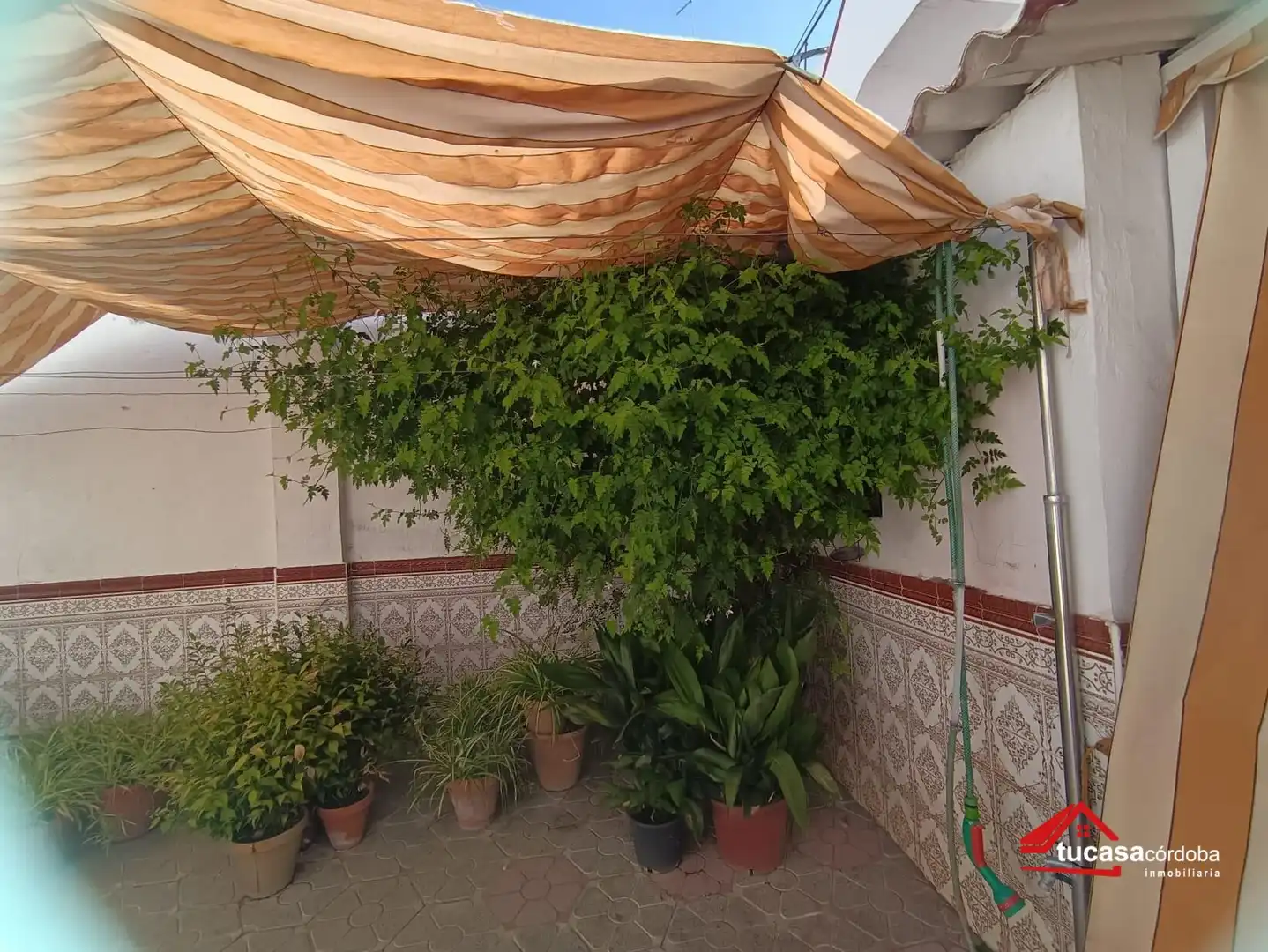 Terrassa de Casa o xalet en venda en Córdoba amb Terrassa i Traster