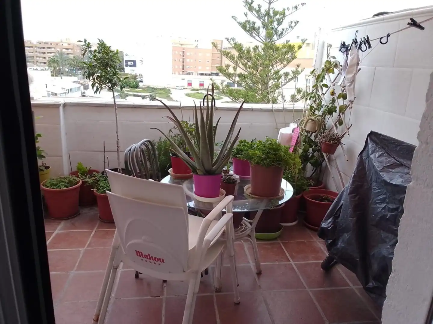 Terrassa de Àtic en venda en El Ejido amb Terrassa