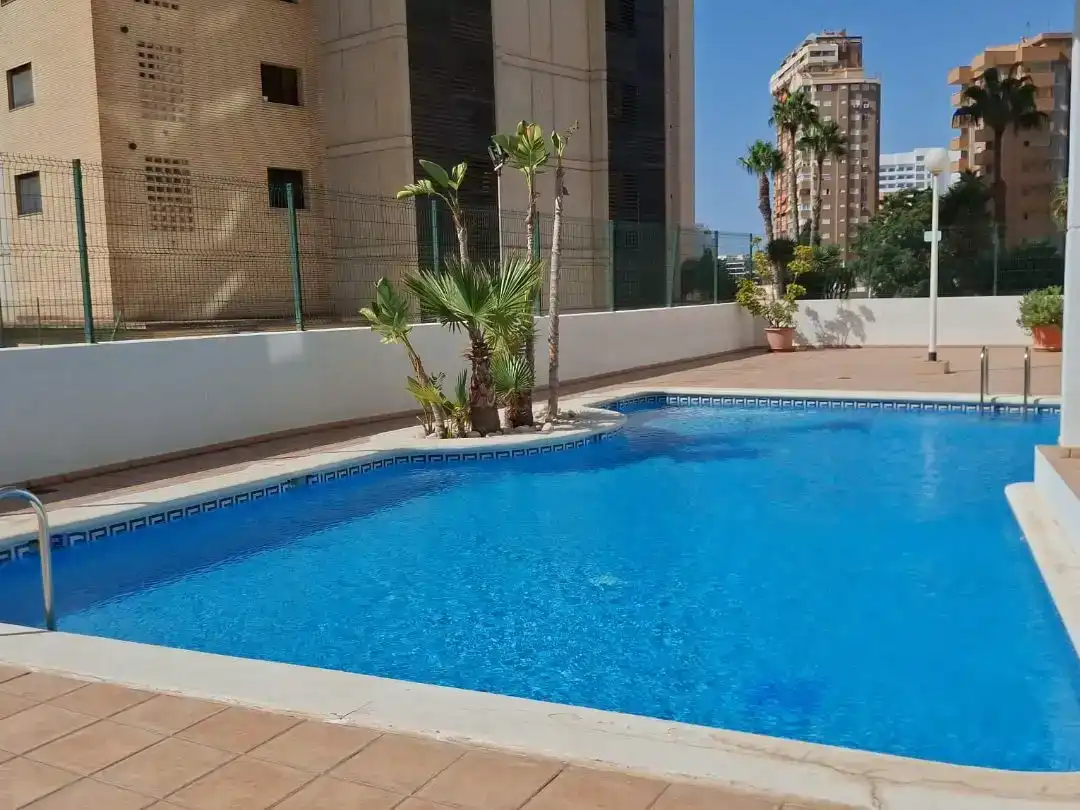 Schwimmbecken von Wohnung zur Miete in Benidorm mit Schwimmbad