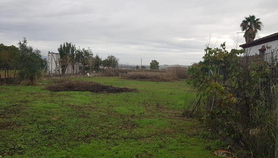 Photo 1 of Industrial land for sale in El Higuerón, Córdoba