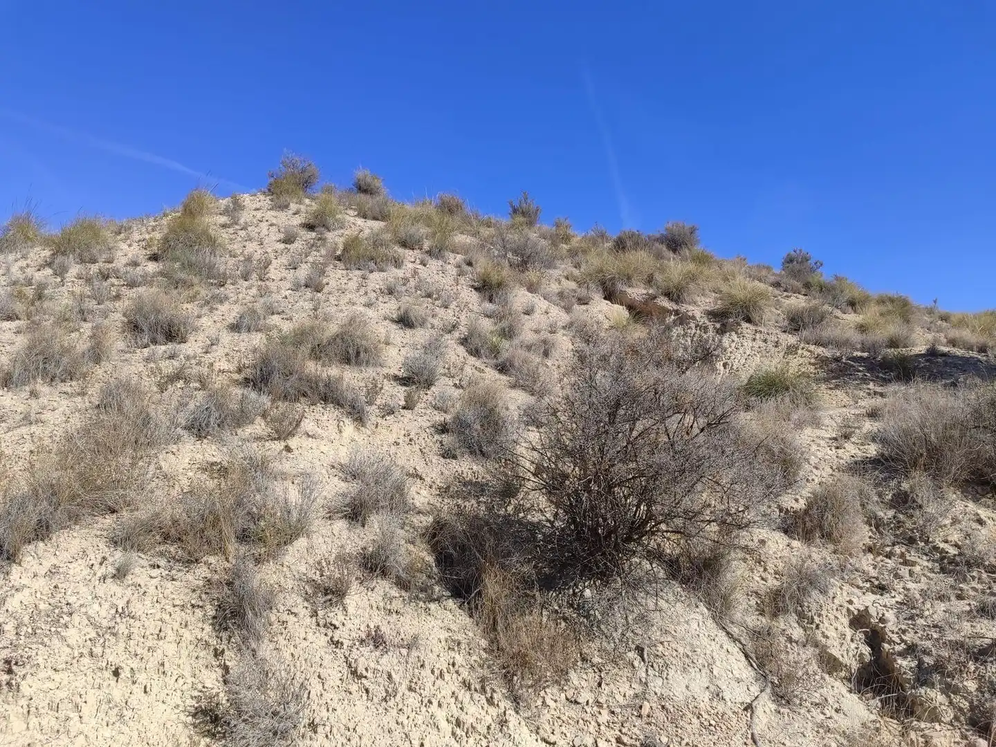 Lands and plots for sale in Abanilla, imagen 15