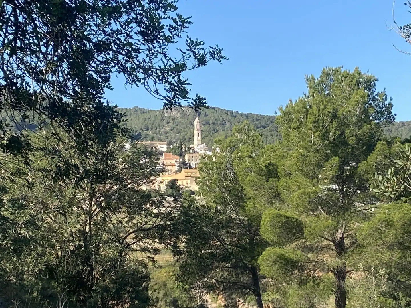 Casa rustica in vendita a Albinyana, imagen 3