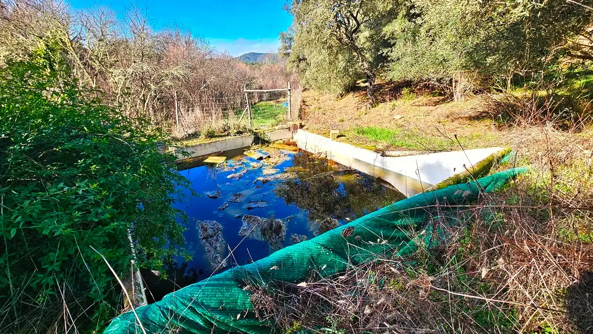 Jardí de Casa o xalet en venda en Los Marines amb Jardí privat, Terrassa i Traster