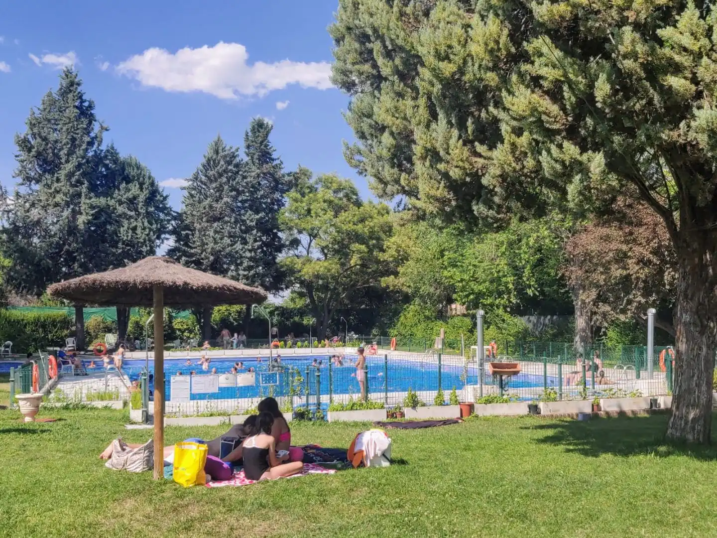 Appartamento con piscina in vendita a Calle Osiris 11