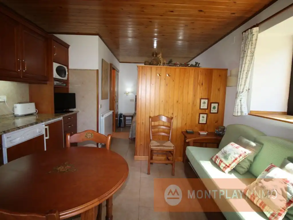 Sala de estar de Apartamento de alquiler en Naut Aran