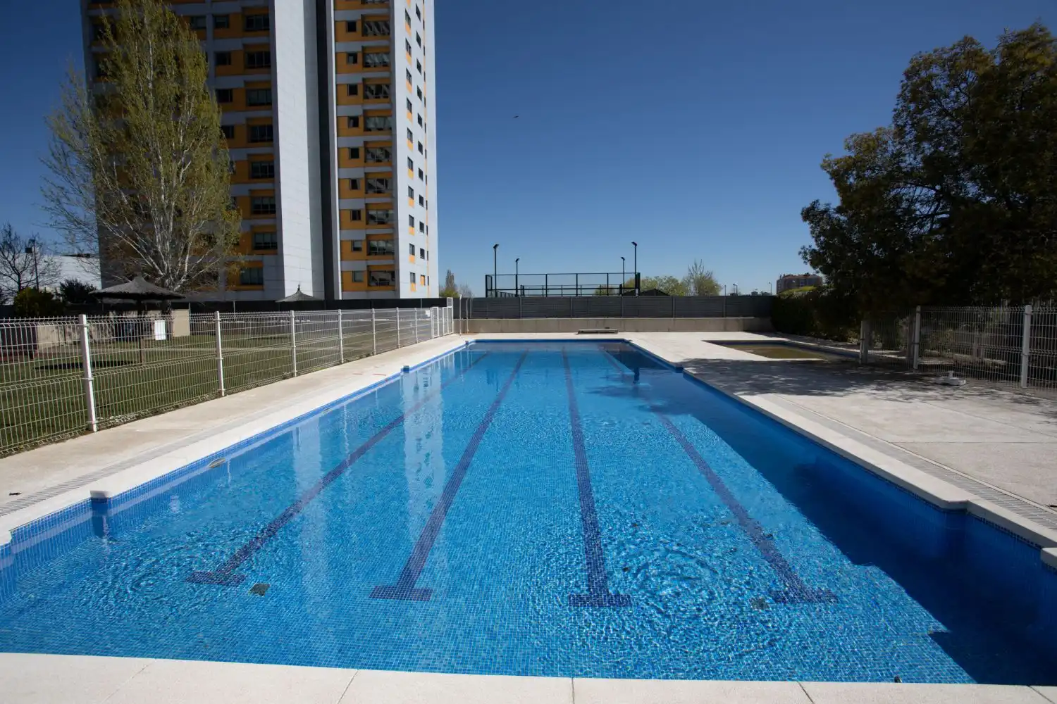 Schwimmbecken von Wohnung zur Miete in Hortaleza