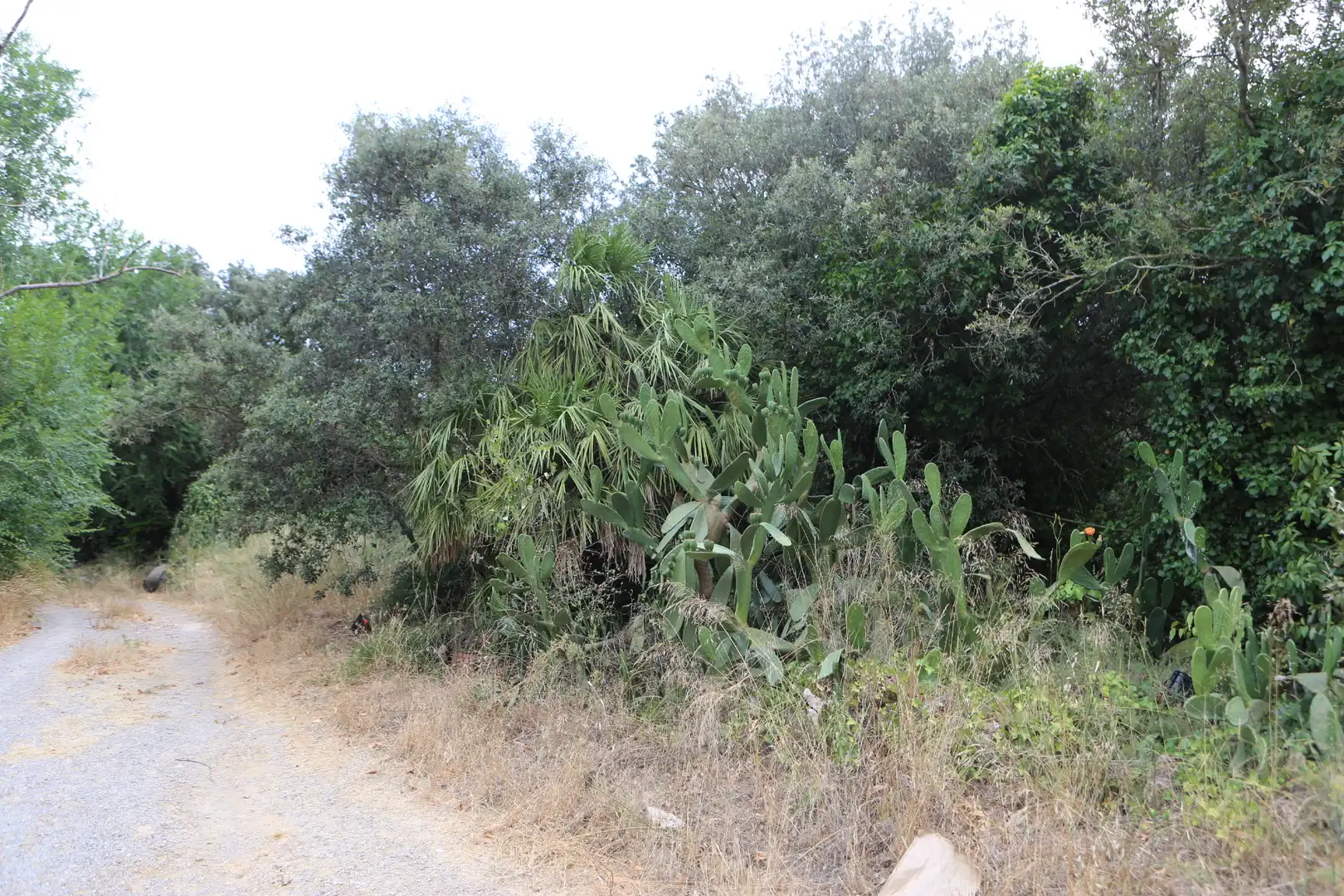 Finca rústica en venda en Begur amb Jardí privat