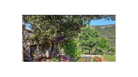 Foto 5 de Casa o chalet en venta en Jaraicejo, Cáceres