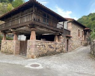 Vista exterior de Casa o xalet en venda en Somiedo amb Calefacció