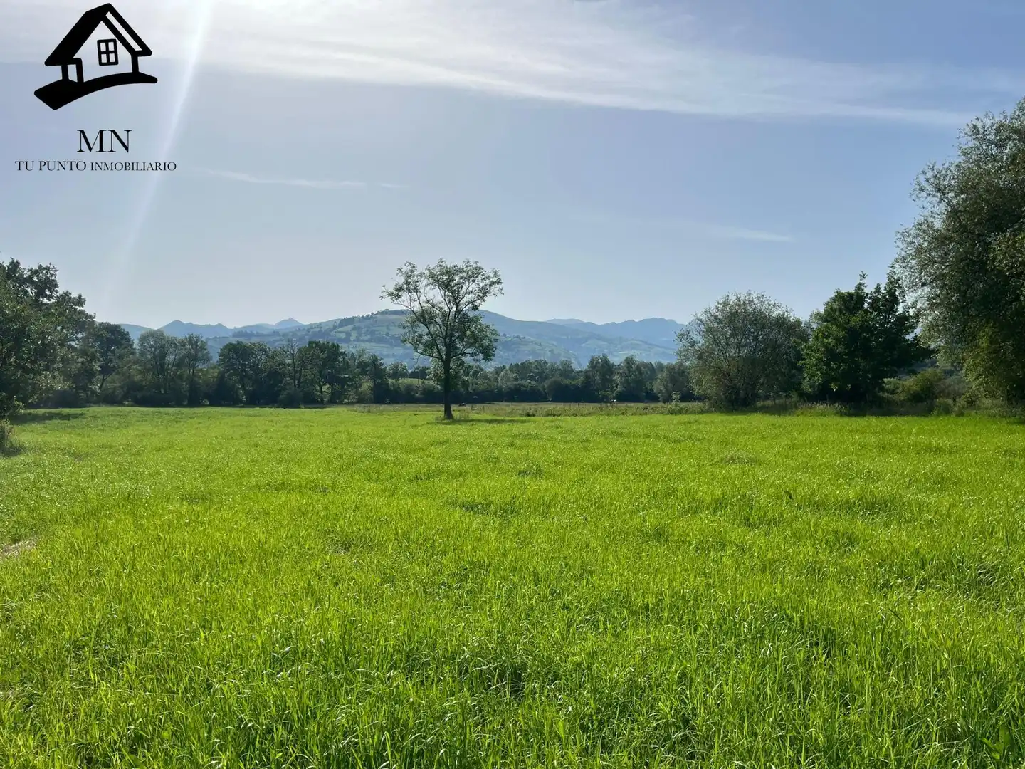 Terreni e lotti in vendita a Villafufre
