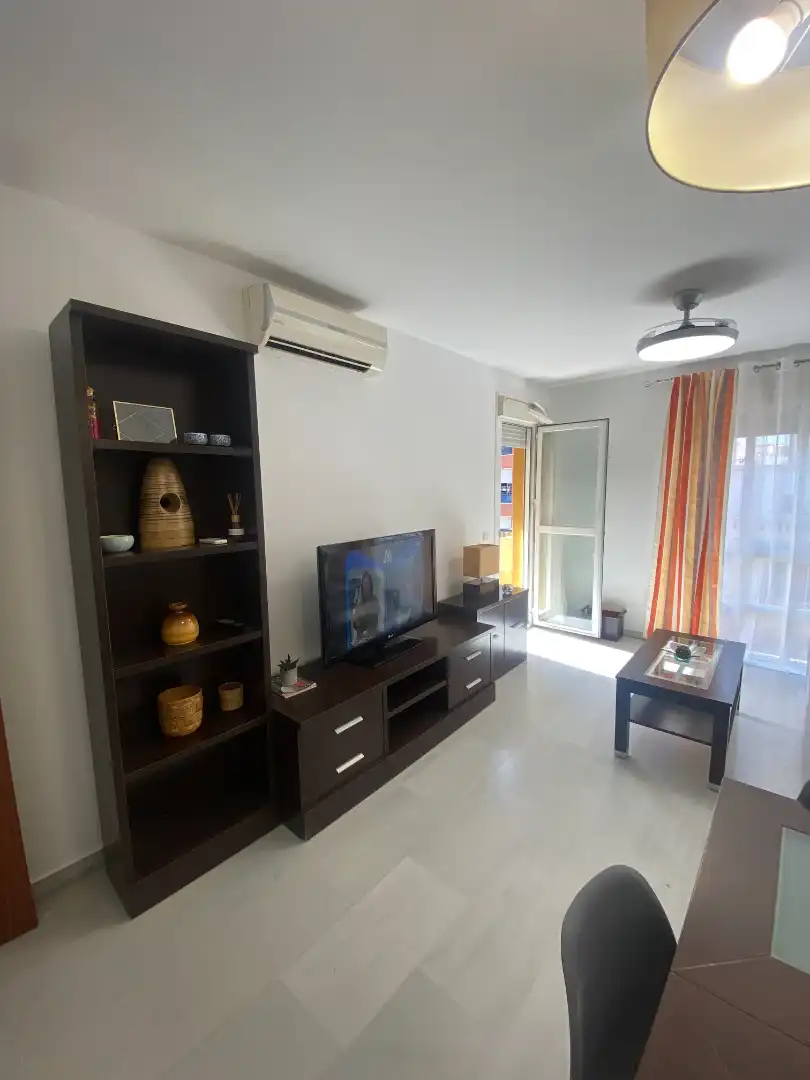 Living room of Apartments for rent in Málaga  with Air Conditioner, Terrace and Furnished
