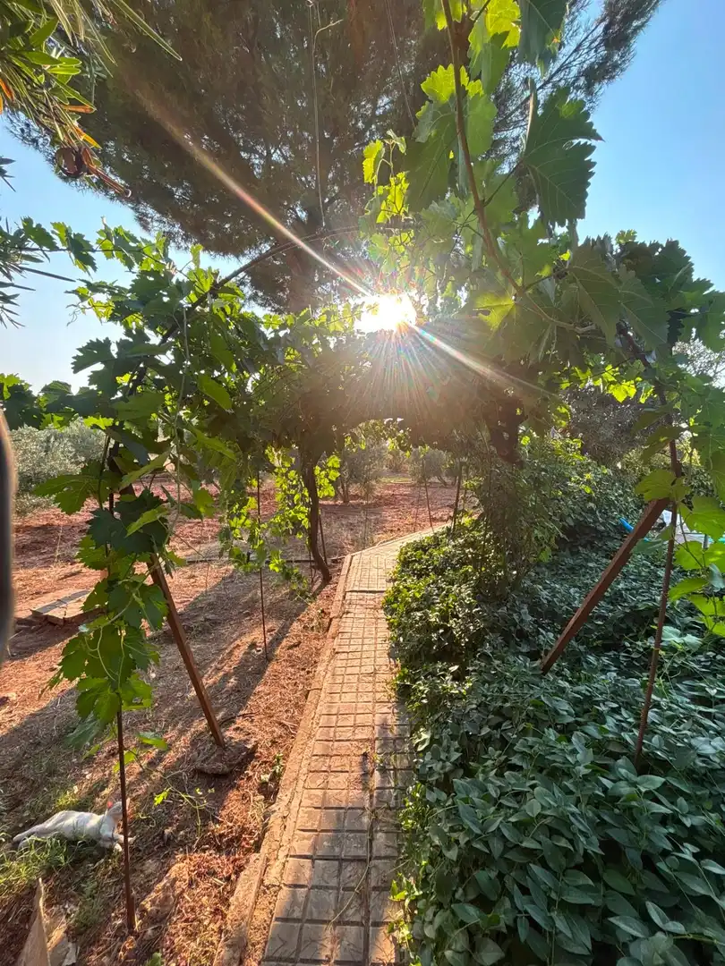 Jardí de Casa o xalet en venda en Valdepeñas