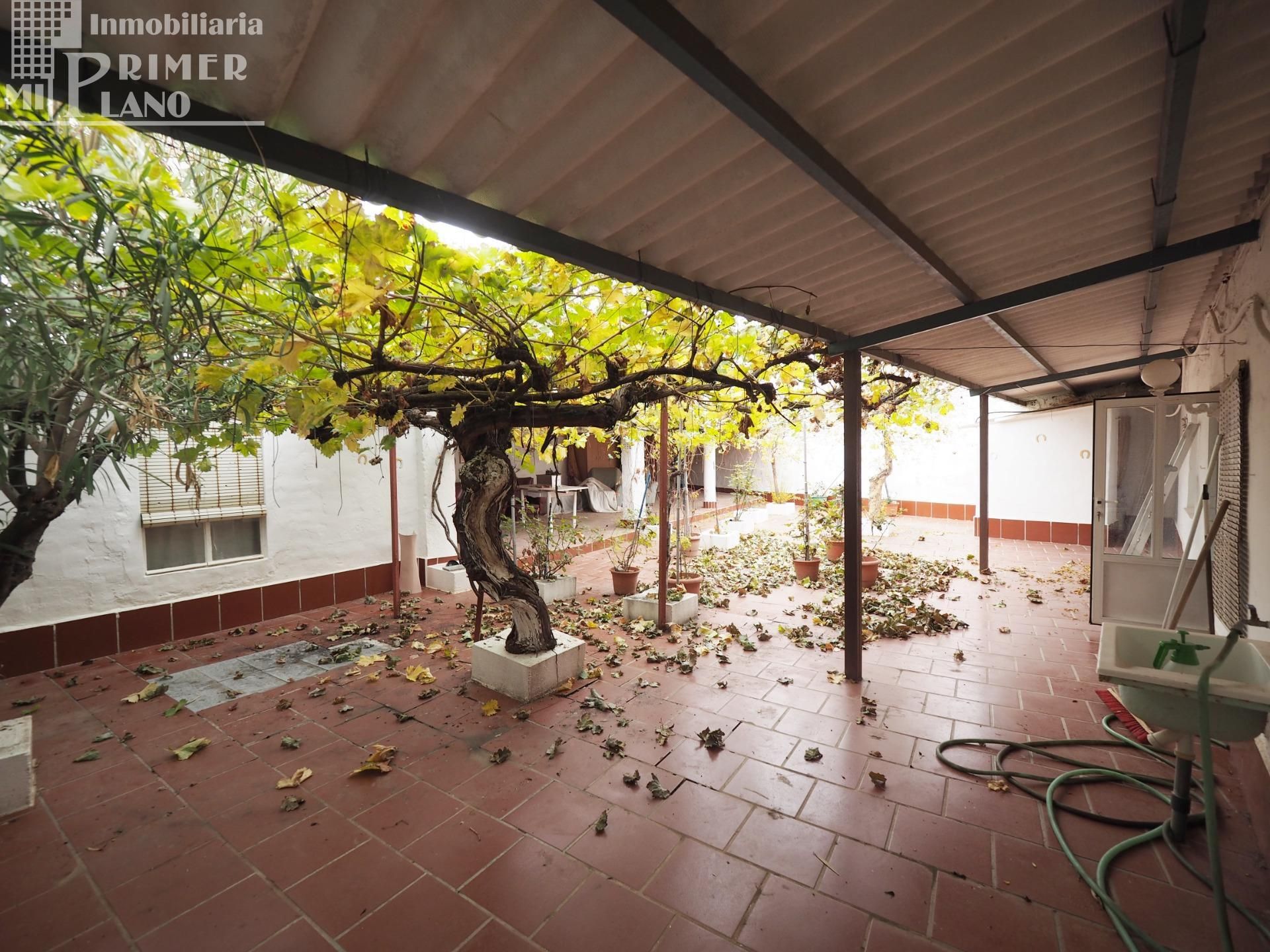Jardí de Casa o xalet en venda en Socuéllamos amb Calefacció