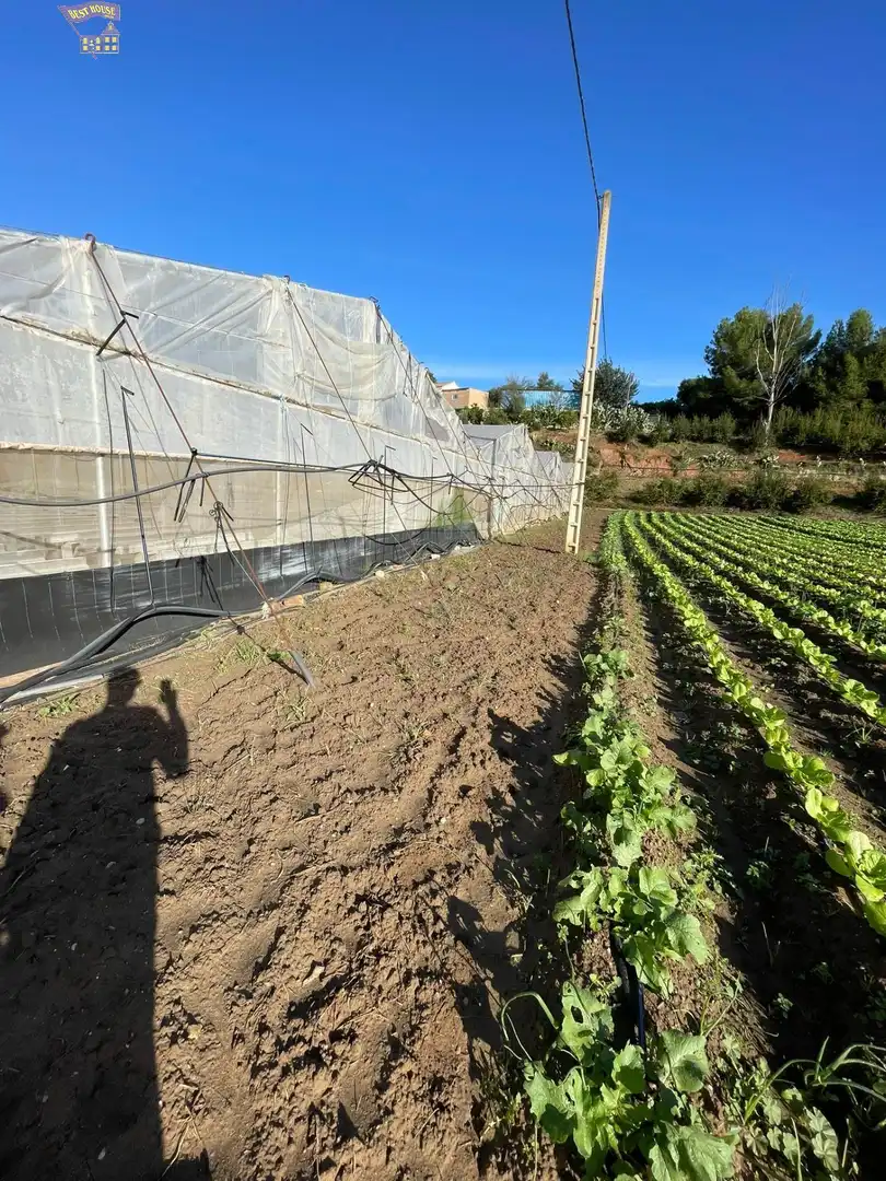Terreny rústic en venda a Arcos de la Frontera, imagen 4