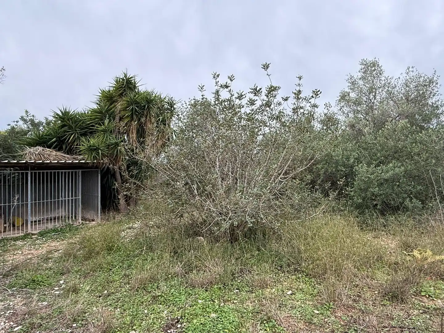 Finca rústica en venta en Camarles
