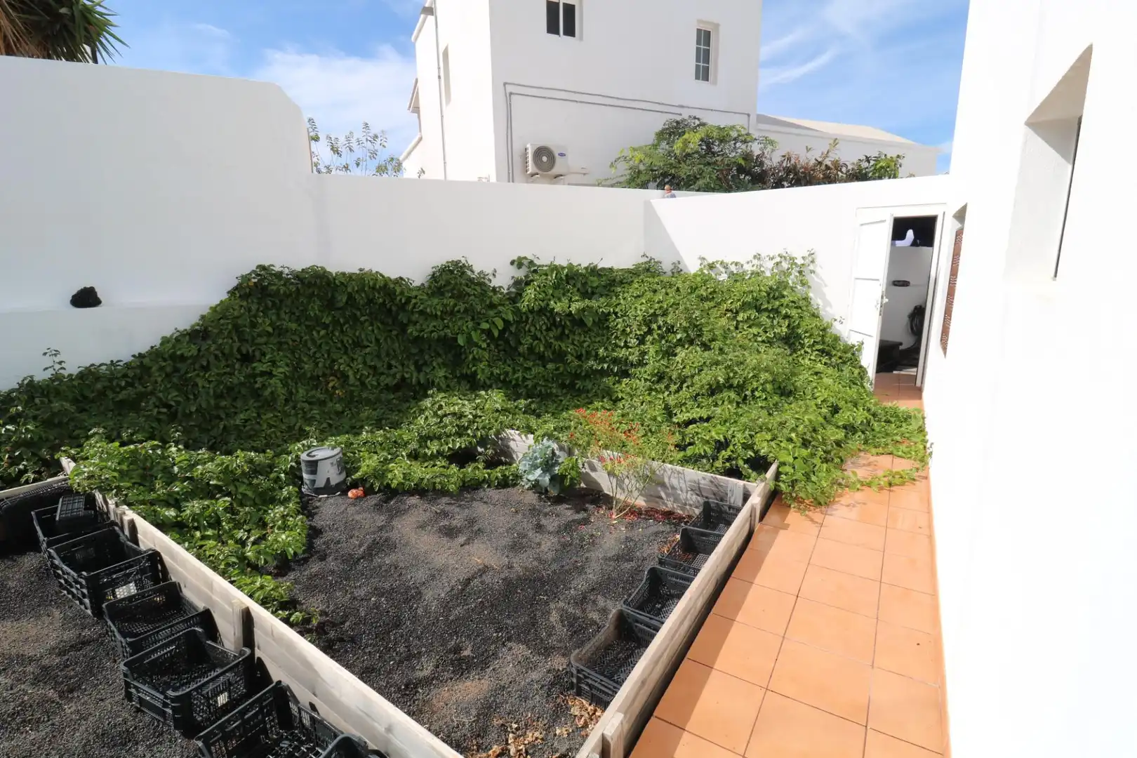 Jardín de Casa o chalet en venta en Teguise con Jardín privado, Terraza y Trastero