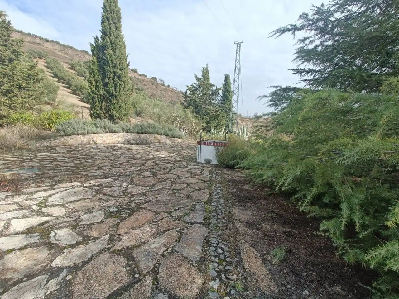Maison avec jardin à vendre à Calle Polígono 49 16, imagen 11