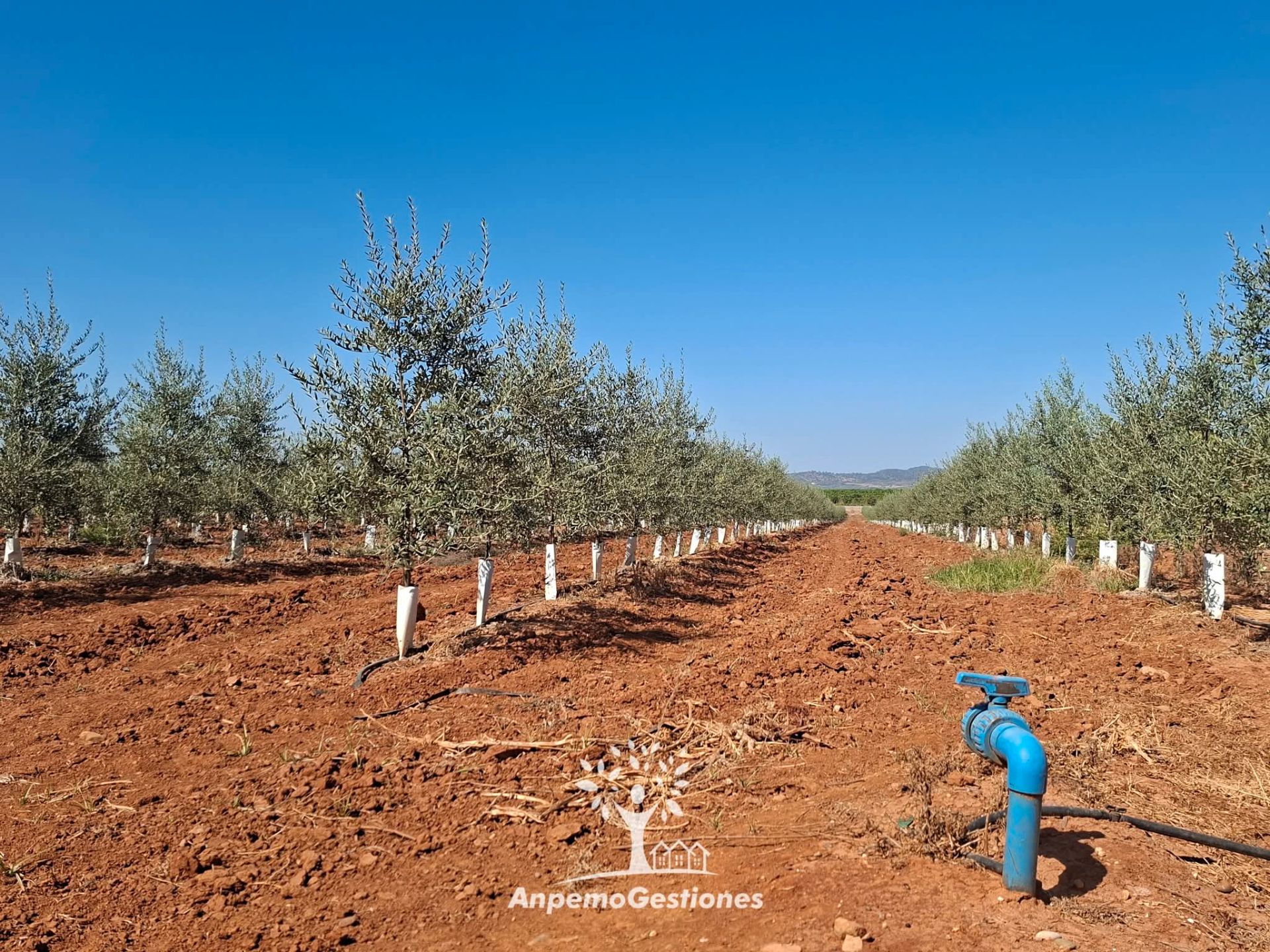 Land for sale in Lora del Río
