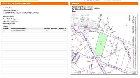 Foto 2 de Finca rústica de lloguer a N/a, -1, Ciudad de Asís, Alicante
