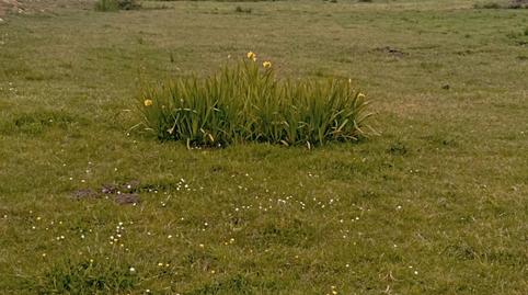 Foto 4 von Residential zum Verkauf in Camiño Forxán, 12, Foz, Lugo