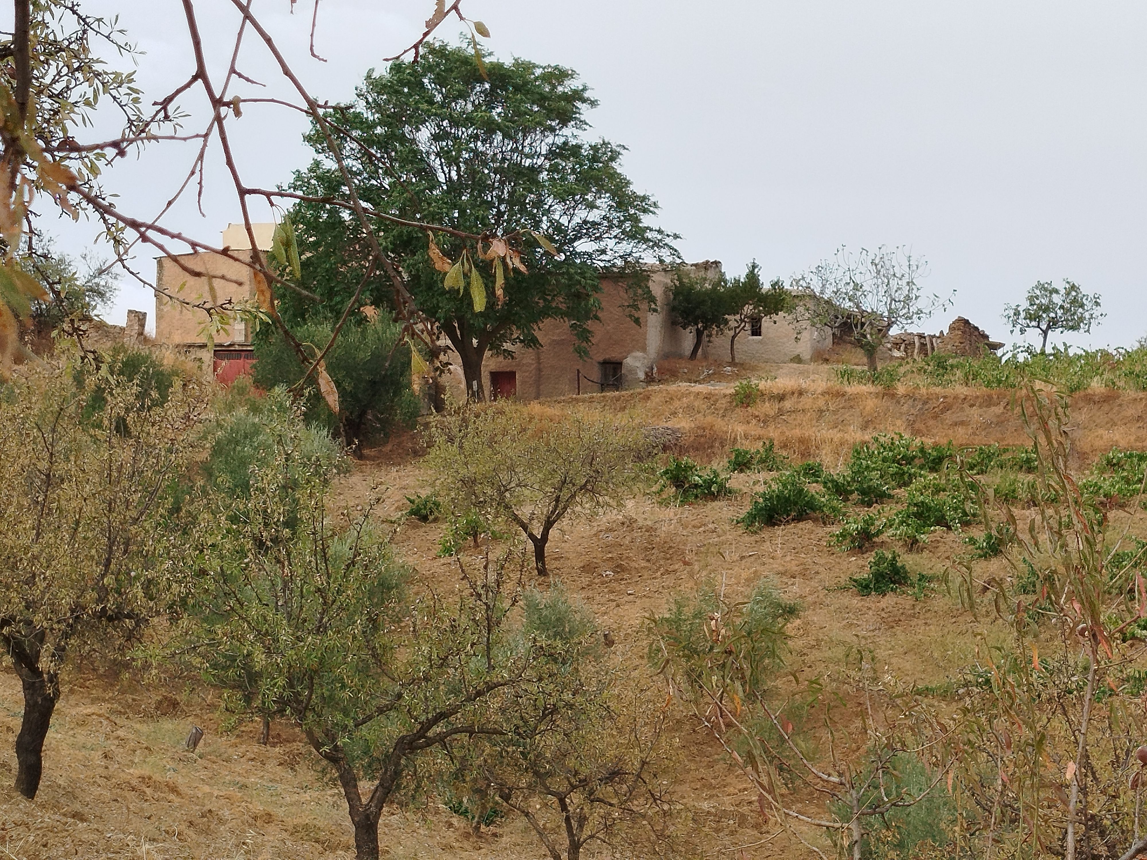 Finca rústica en venda en Cádiar