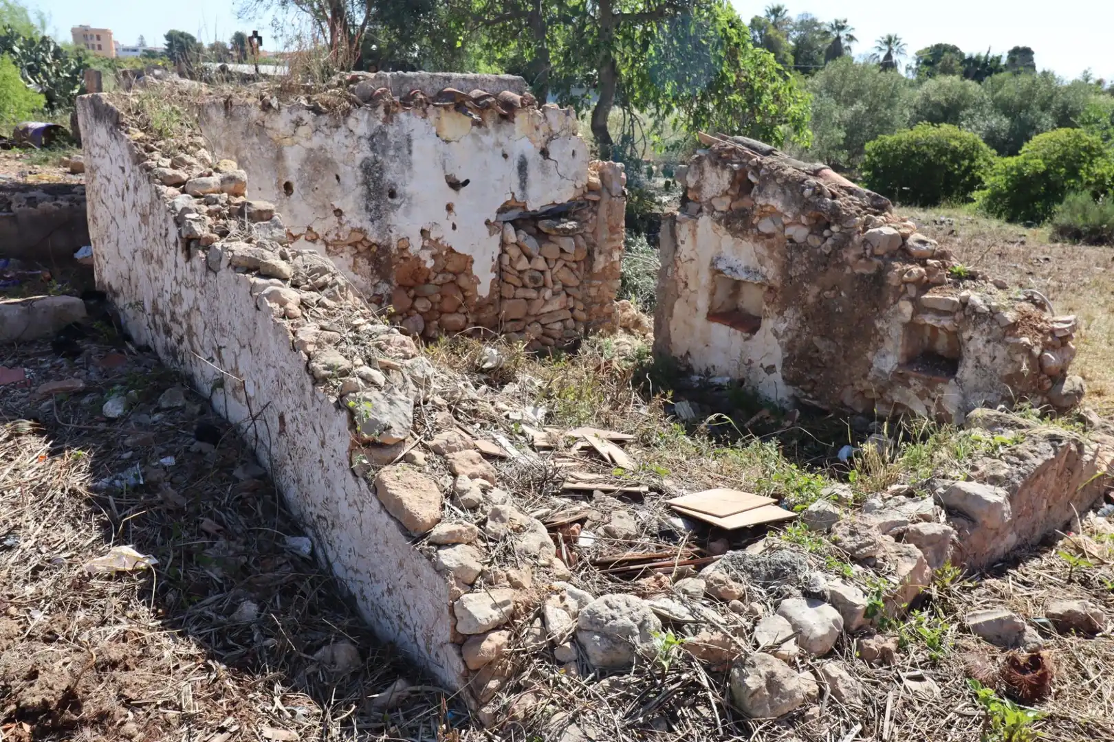 Terreno rustico in vendita a Alcanar, imagen 8