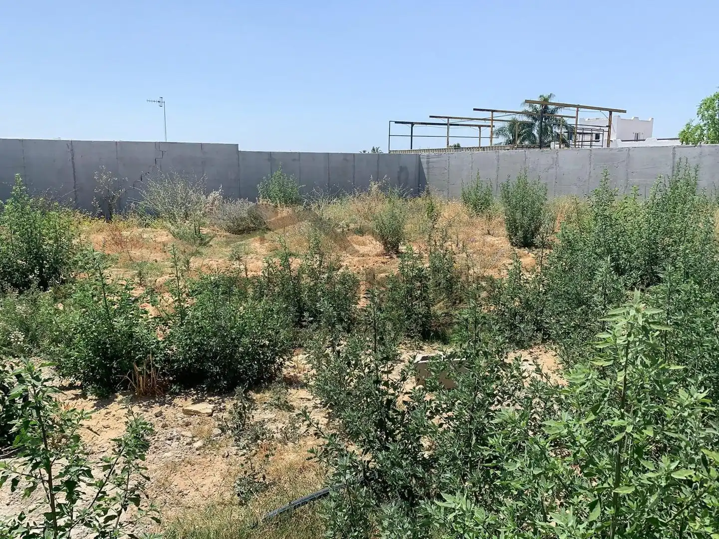 Rustikales Grundstück zum Verkauf in La Jara, imagen 7
