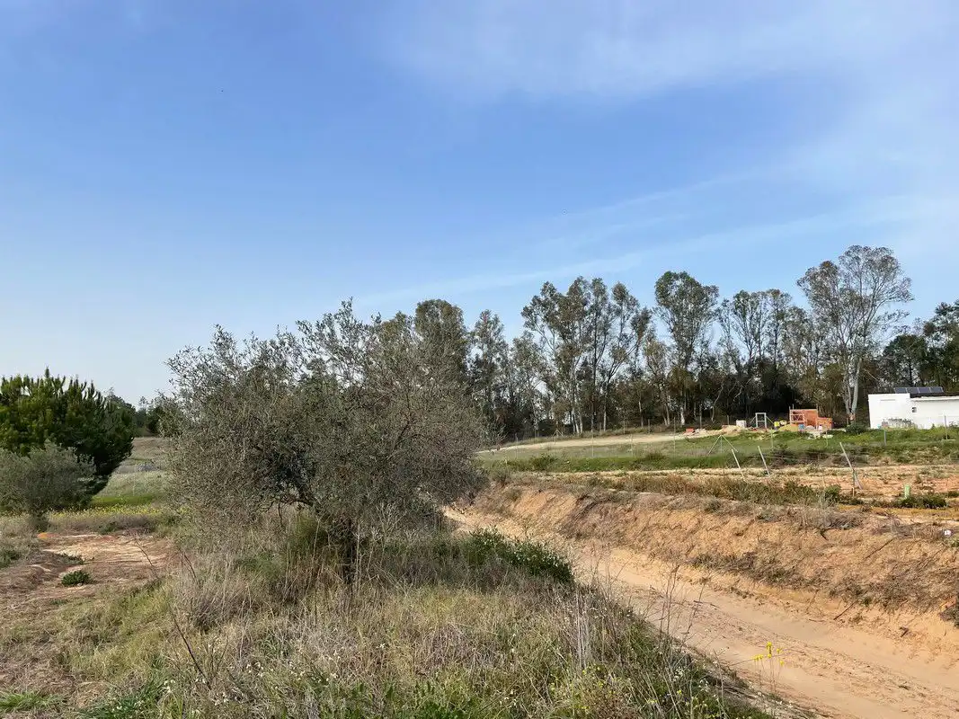 Finca rústica en venta en La Palma del Condado
