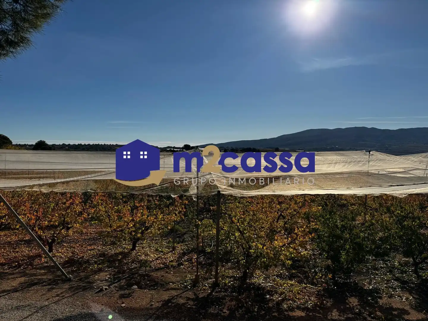 Casa o xalet en venda en Aledo amb Aire condicionat i Jardí privat