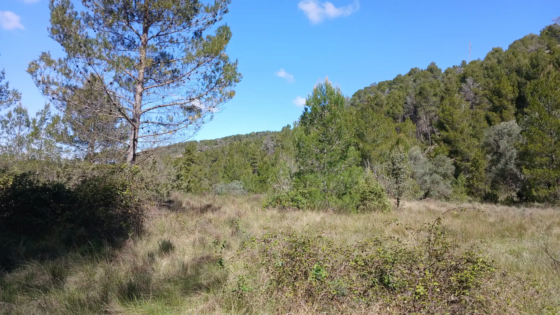 Terreno en venta en Fórnoles