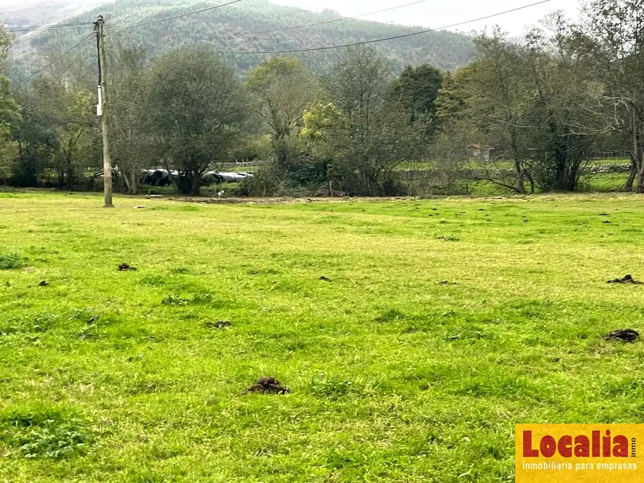 Terreni e lotti in vendita a Ruente, imagen 6