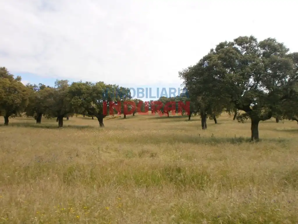 Casa rústica en venda a Malpartida de Plasencia