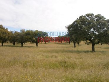 Maison rustique à vendre à Malpartida de Plasencia