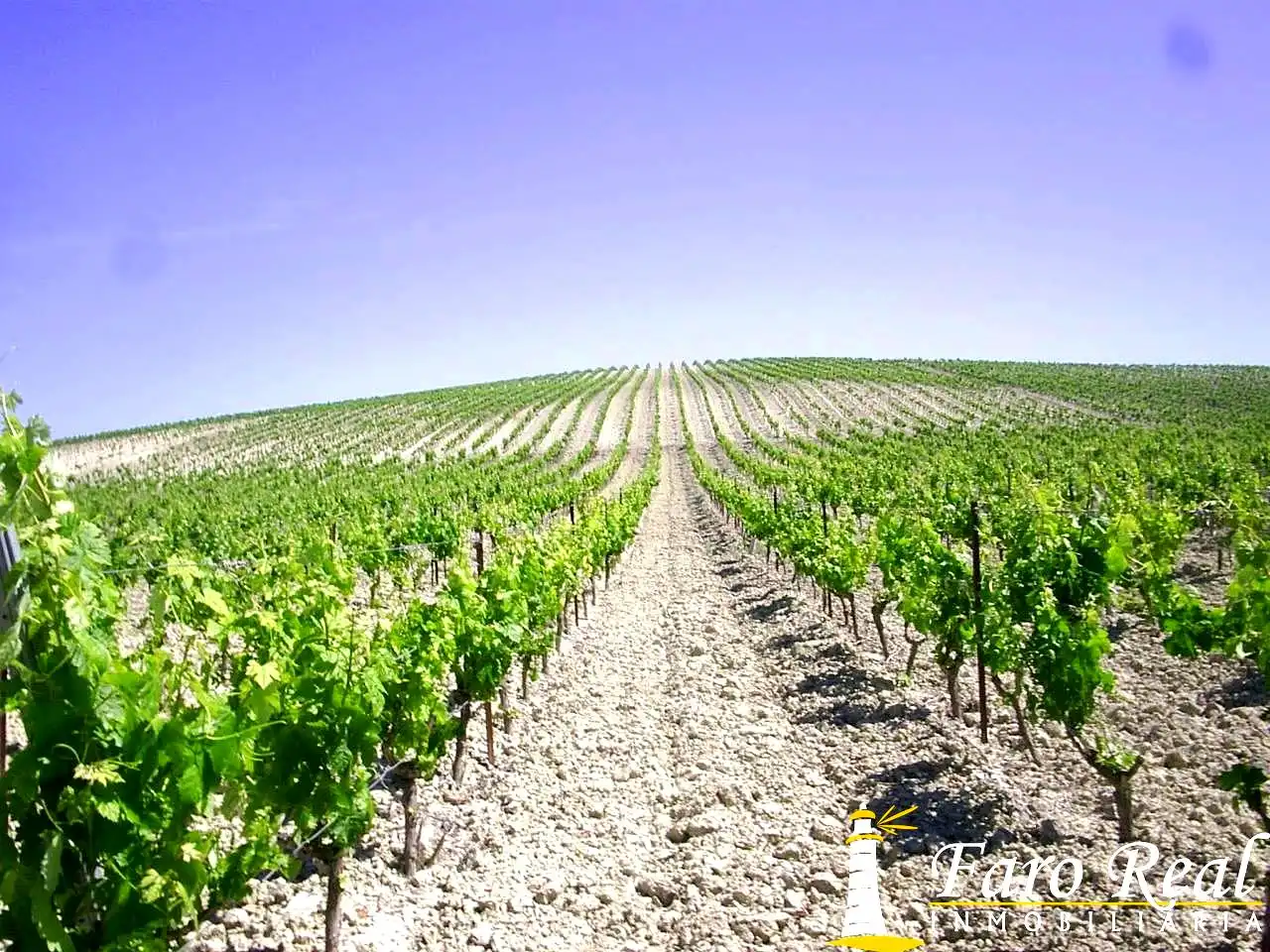 Rural land for sale in Ctra Sanlúcar - Cuatro Pinos