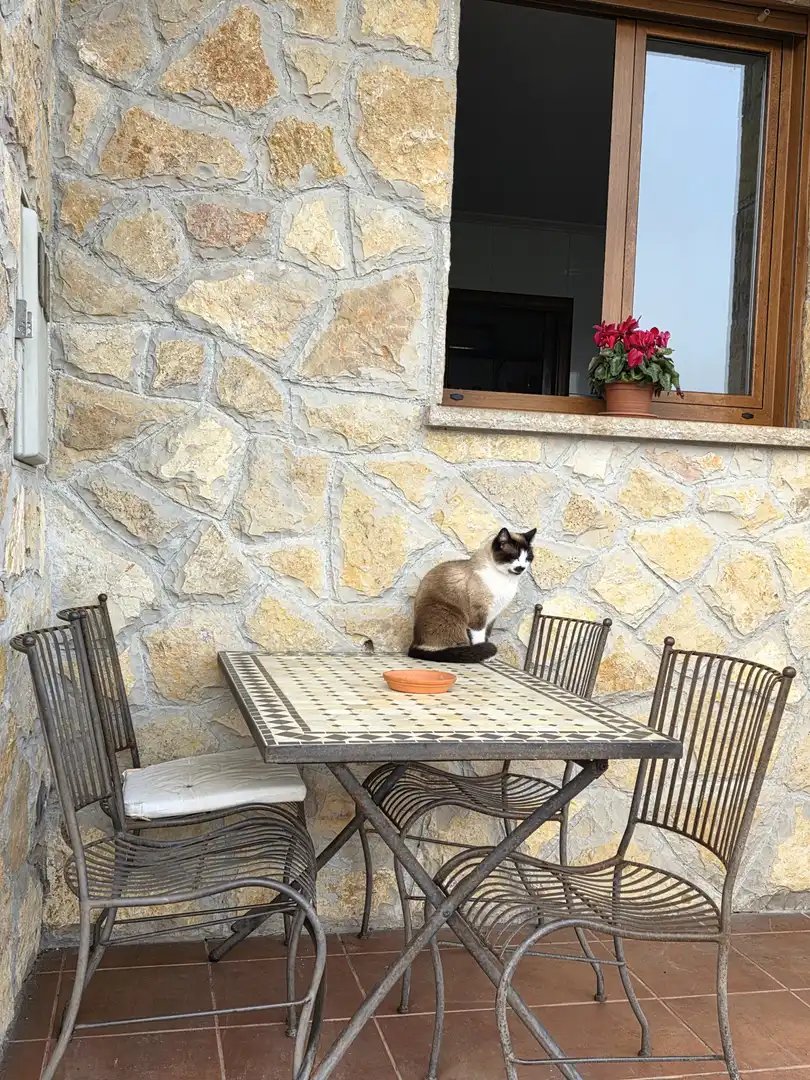 Terrace of Houses for sale in Nava  with Heating, Private garden and Terrace