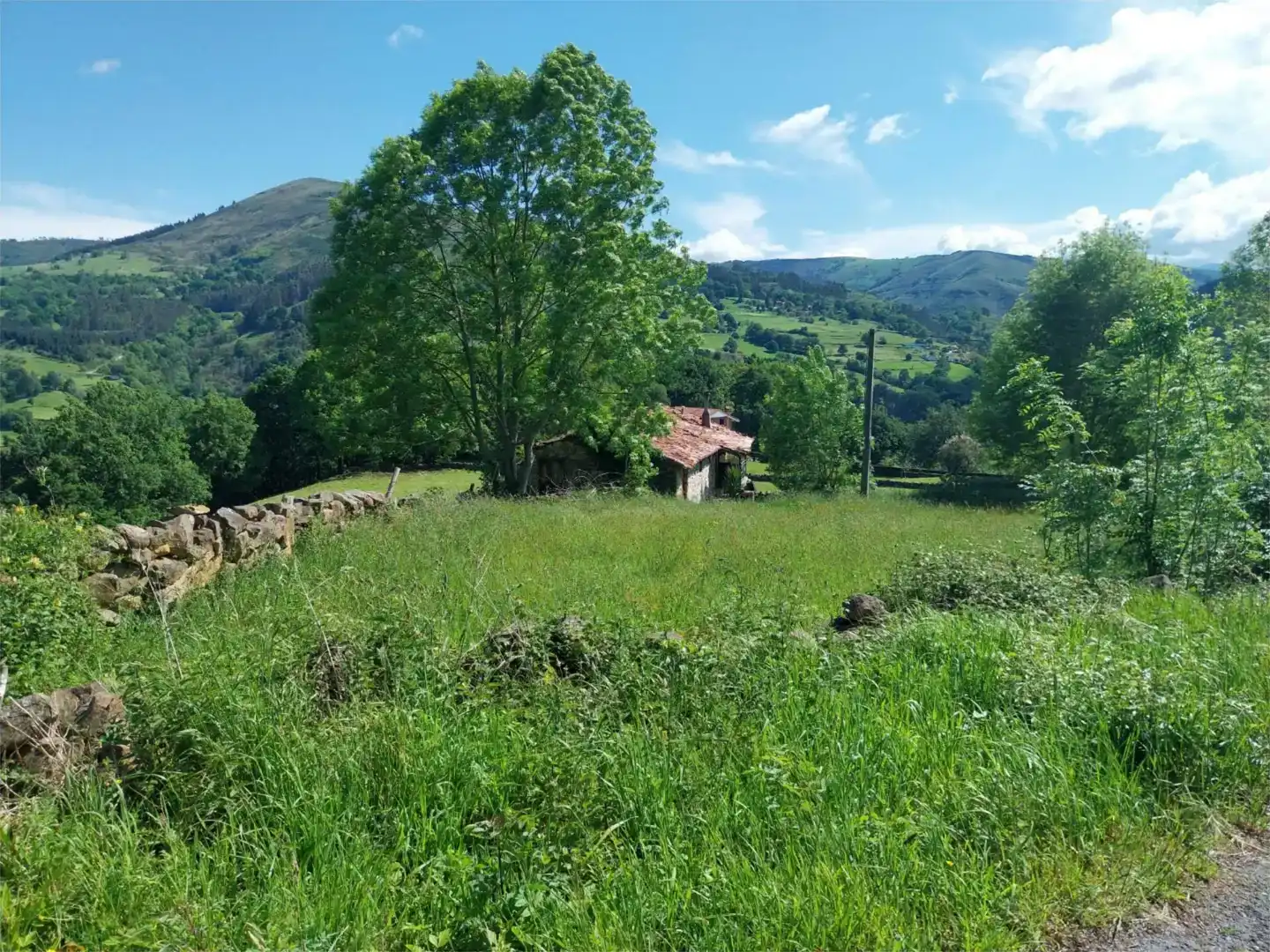 Finca rústica en venda en Luena 