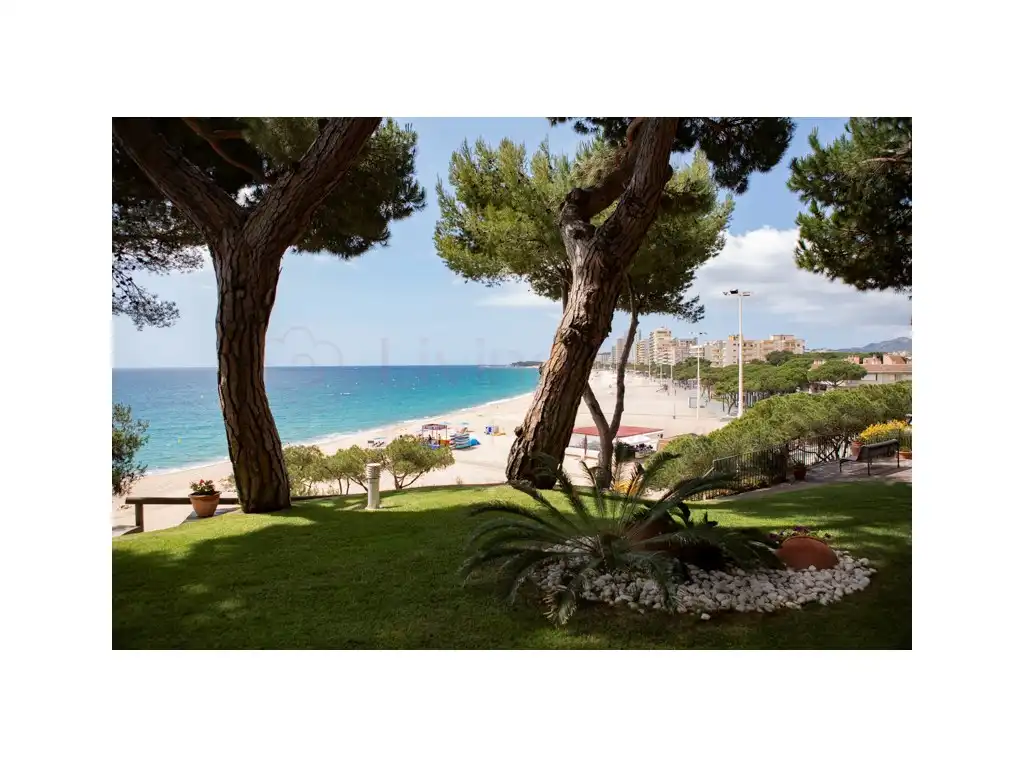 Apartament de lloguer a Centre - Platja