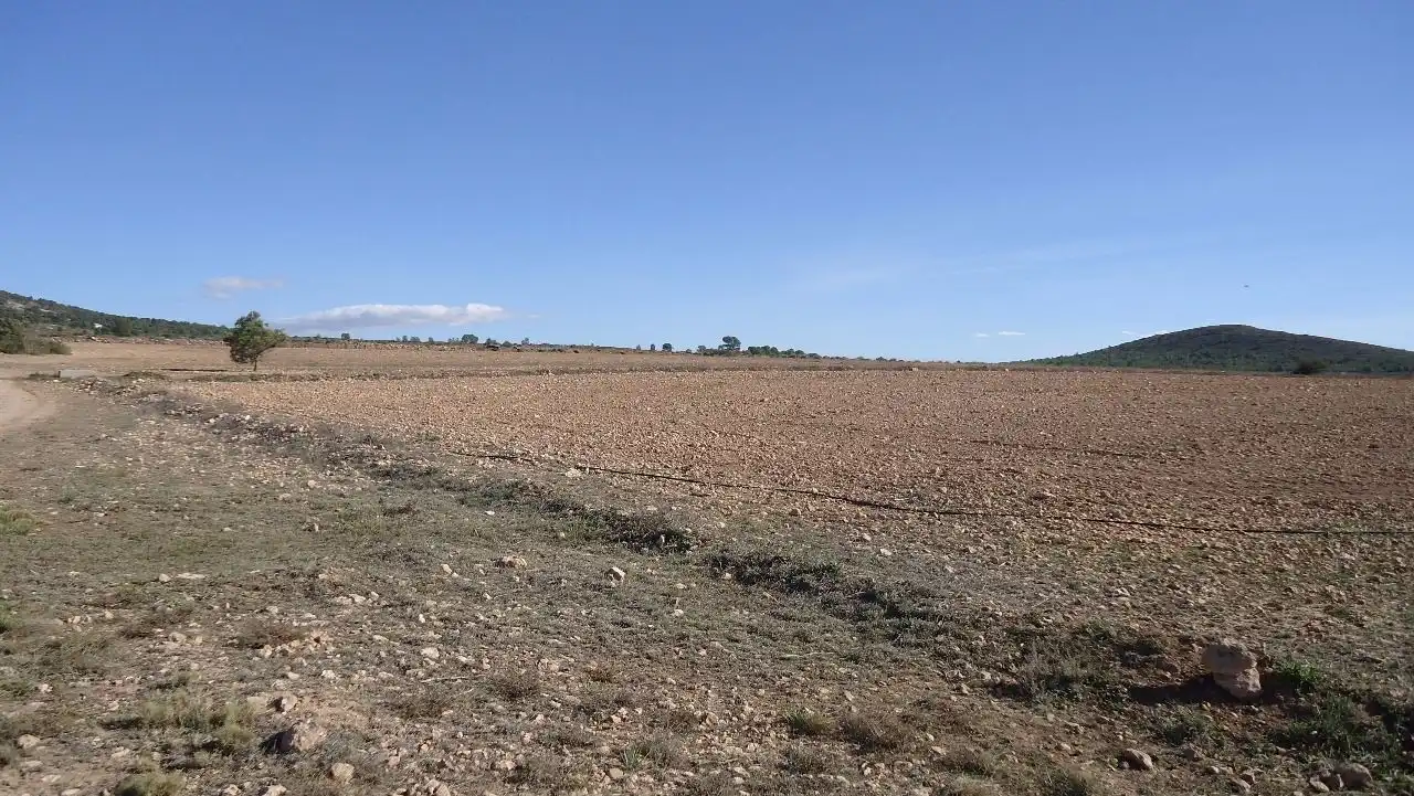 Terreni e lotti in vendita a Yecla, imagen 37