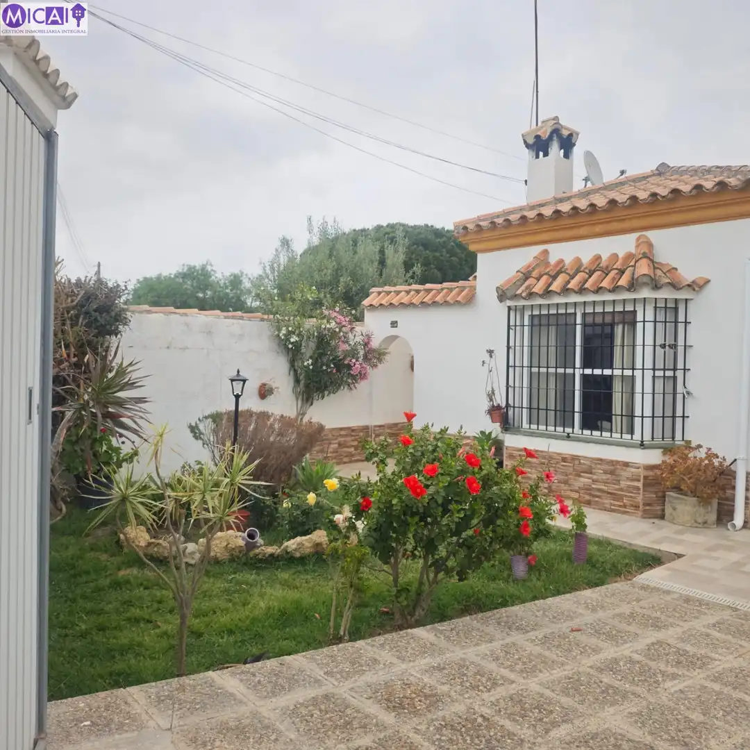 Jardín de Casa o chalet en venta en Chiclana de la Frontera con Jardín privado, Trastero y Piscina