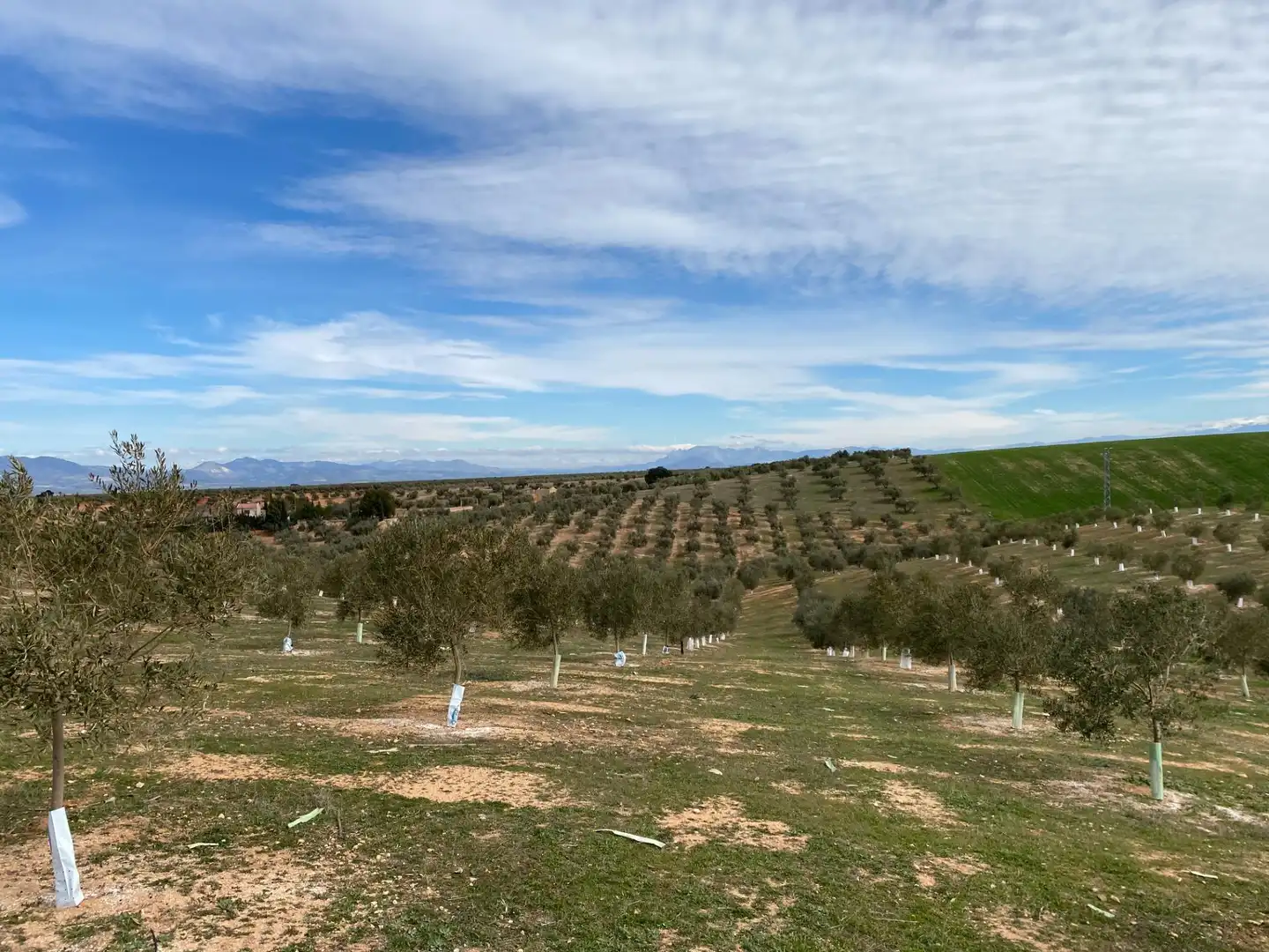Terreno rústico en venta en Salar, imagen 7