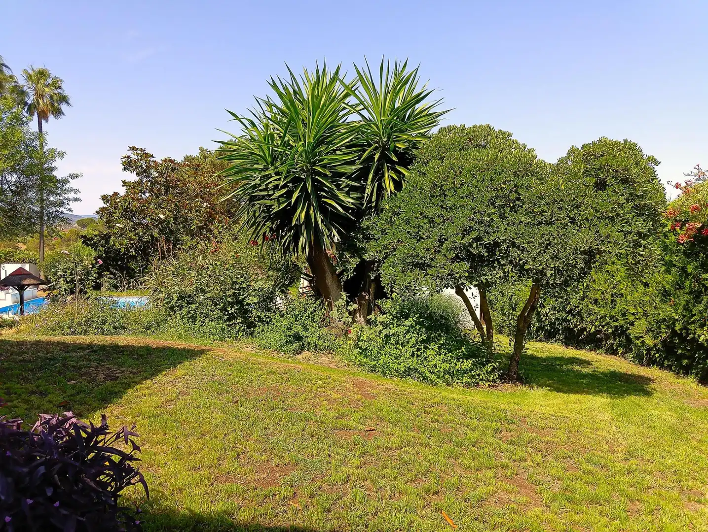 Casa o xalet en venda en El Bosque amb Piscina comunitària