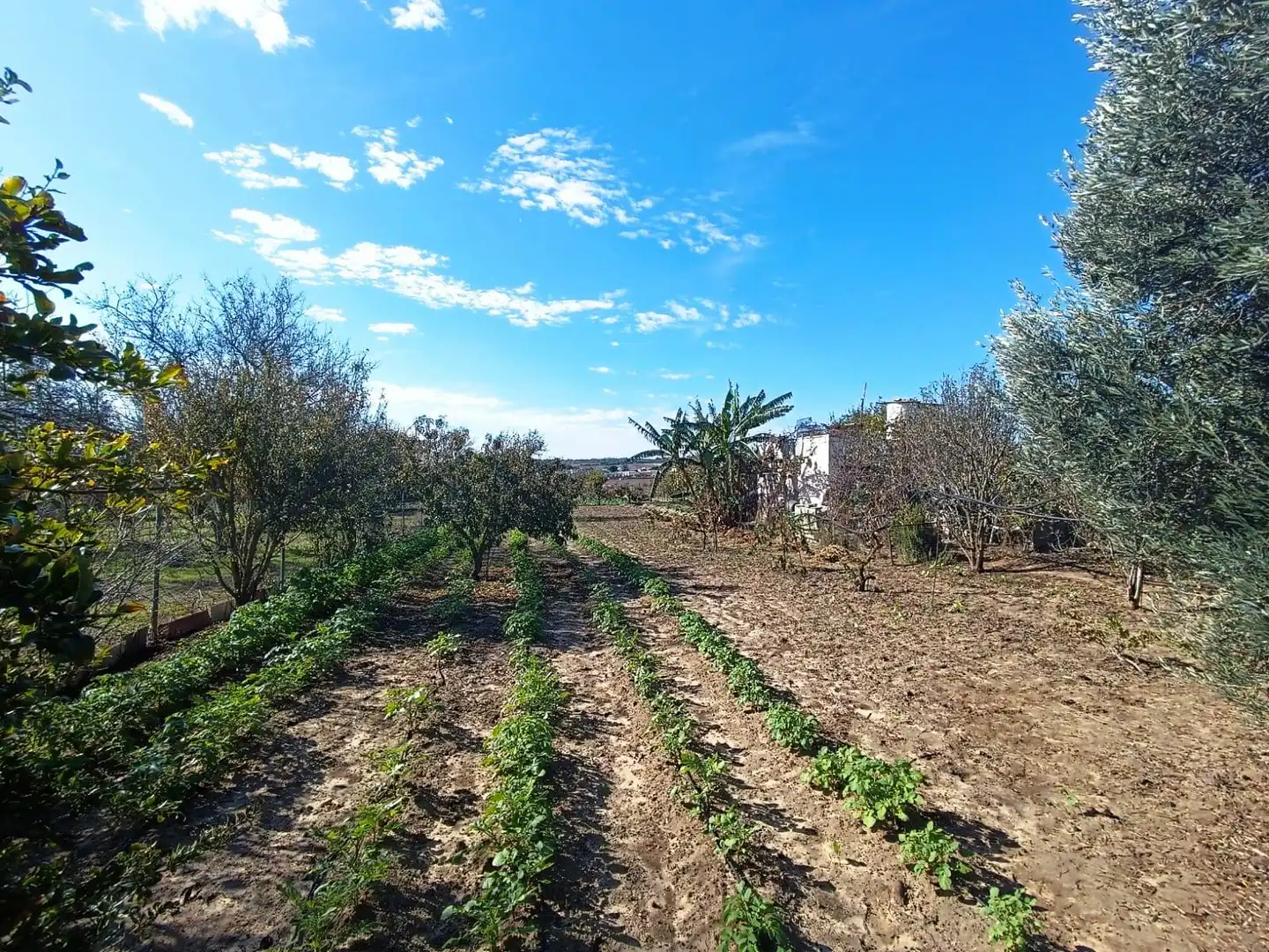 Terreni e lotti in vendita a El Juncal - Vallealto, imagen 15