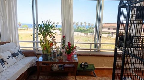 Exclusiva villa con piscina a un paso de la playa con vistas al mar, immagine 4