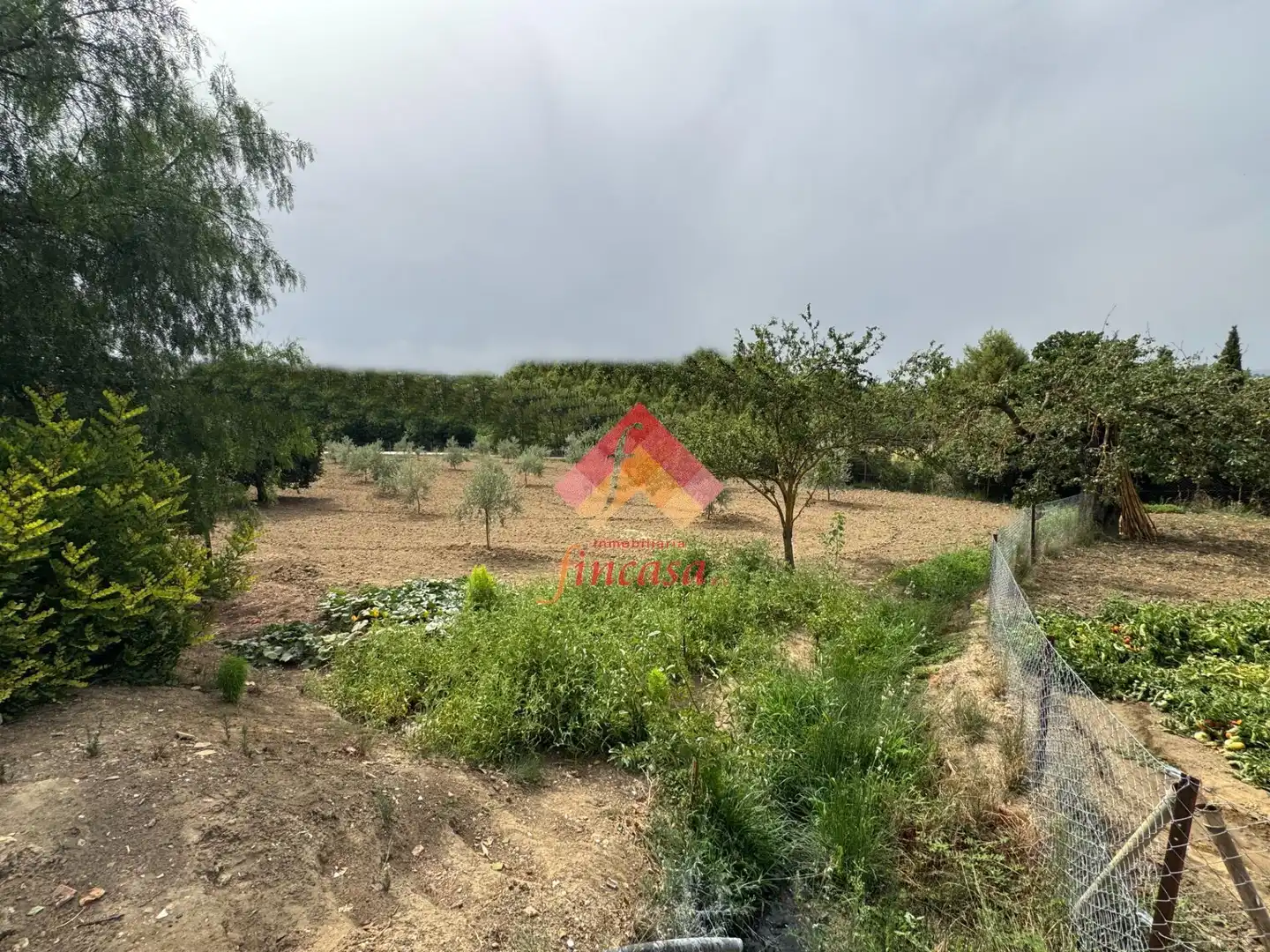 Finca rústica en venda en Ronda amb Traster