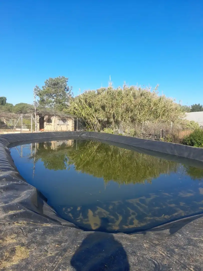 Maison avec piscine à vendre à Lepe, imagen 2