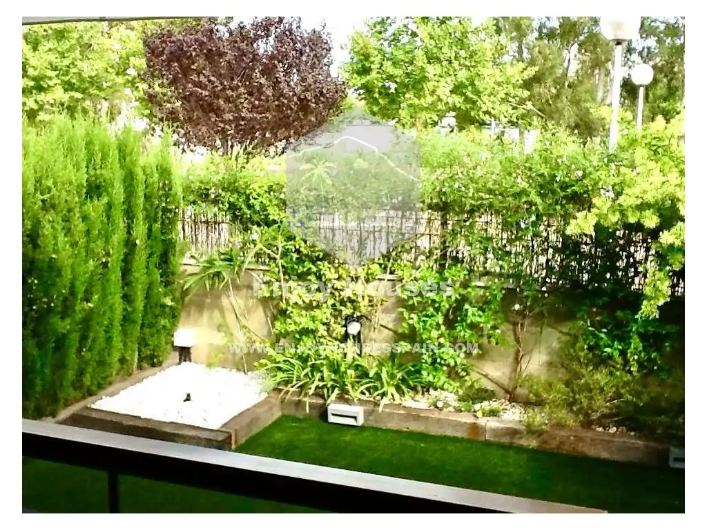 Detached homes for sale in Centro ciudad